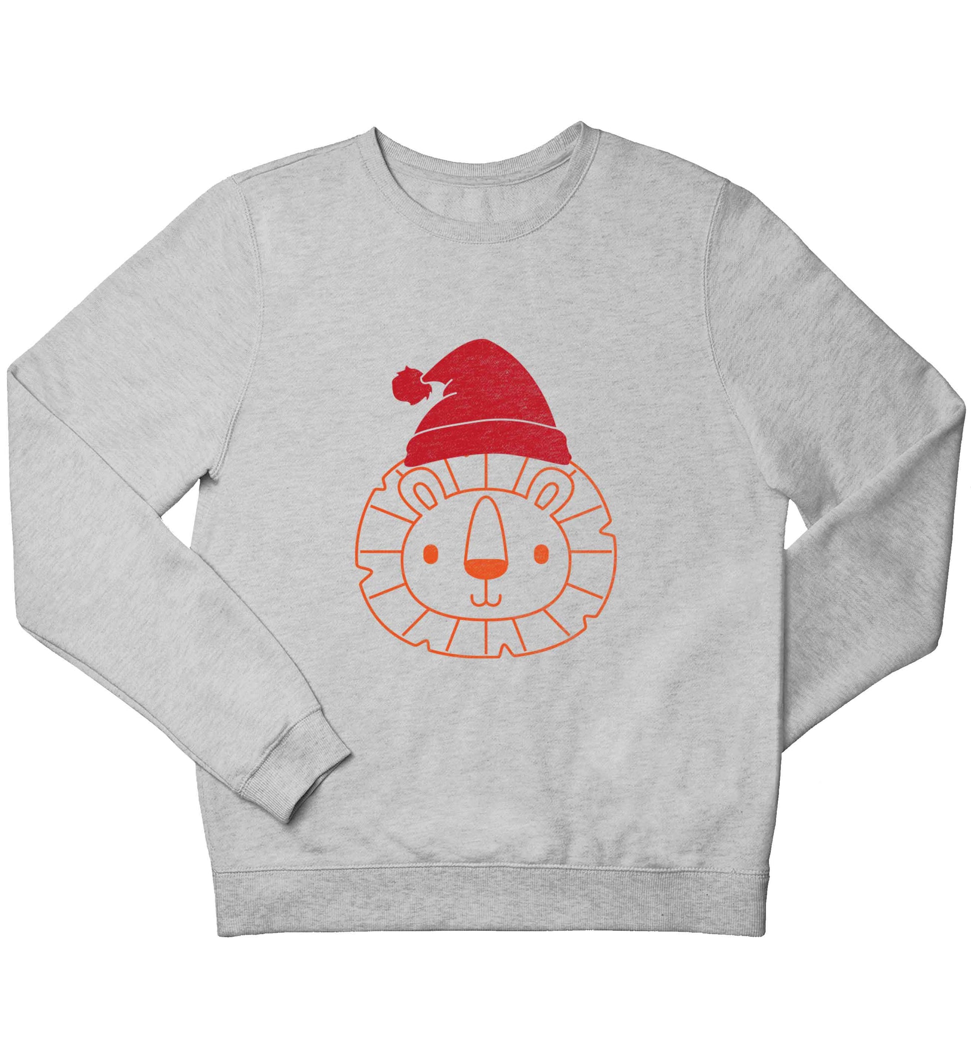 Santa lion children's grey sweater 12-13 Years