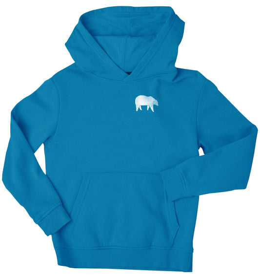 Polar Bear Kit children's blue hoodie 12-13 Years