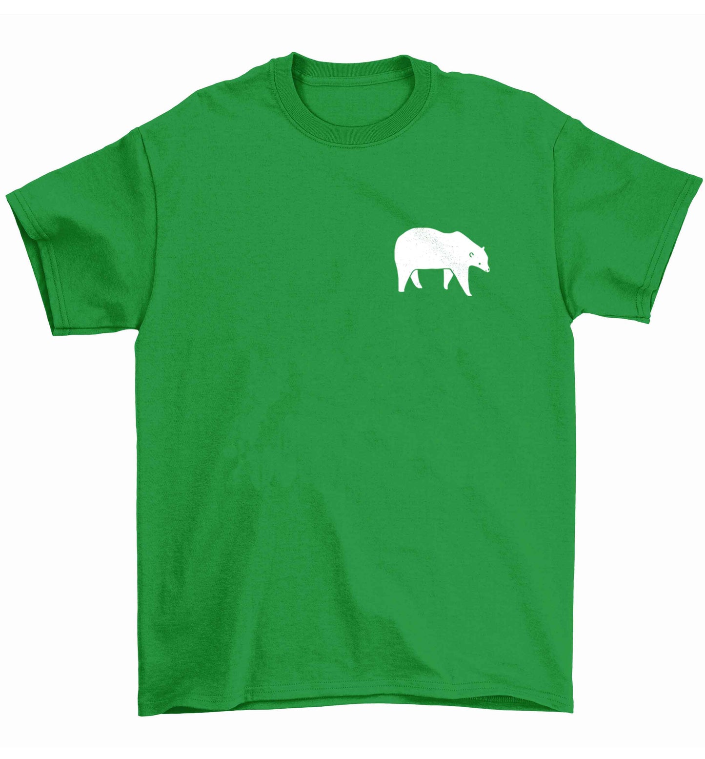 Polar Bear Kit Children's green Tshirt 12-13 Years