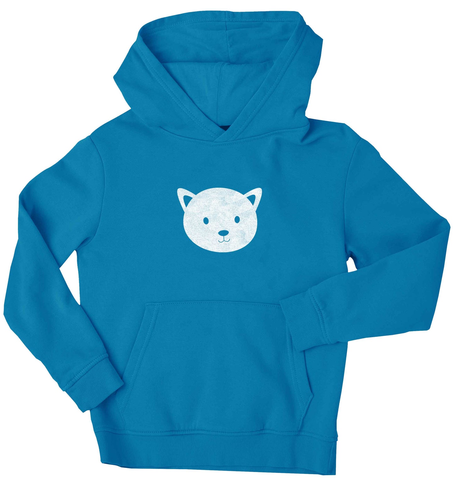 Cat face only Kit children's blue hoodie 12-13 Years