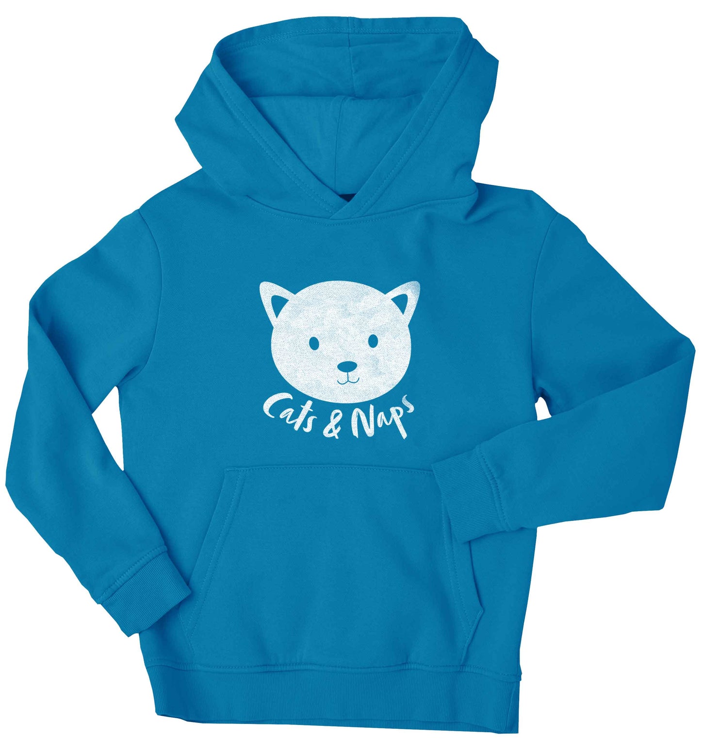 Cats and naps Kit children's blue hoodie 12-13 Years
