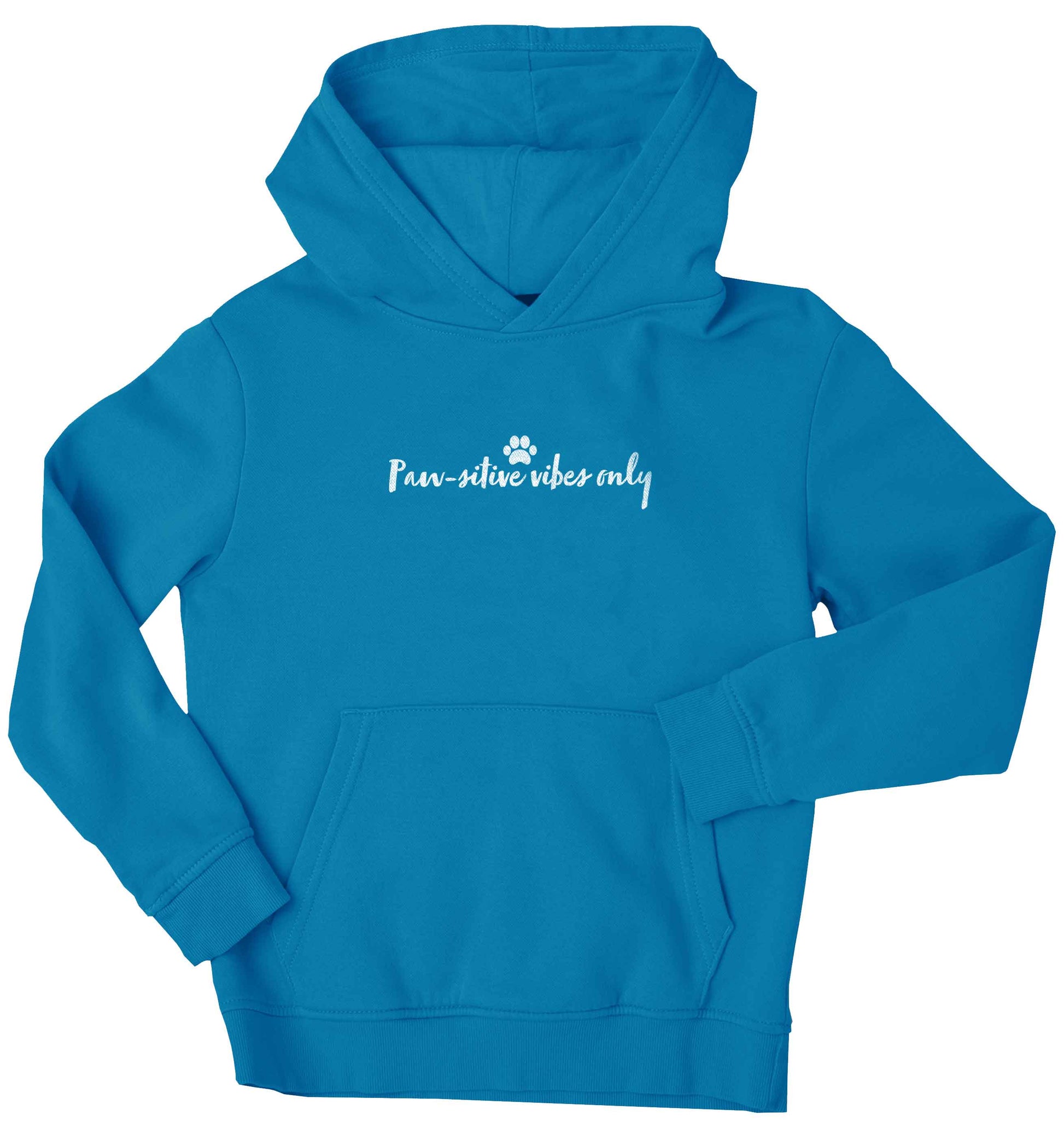 Pawsitive vibes only Kit children's blue hoodie 12-13 Years