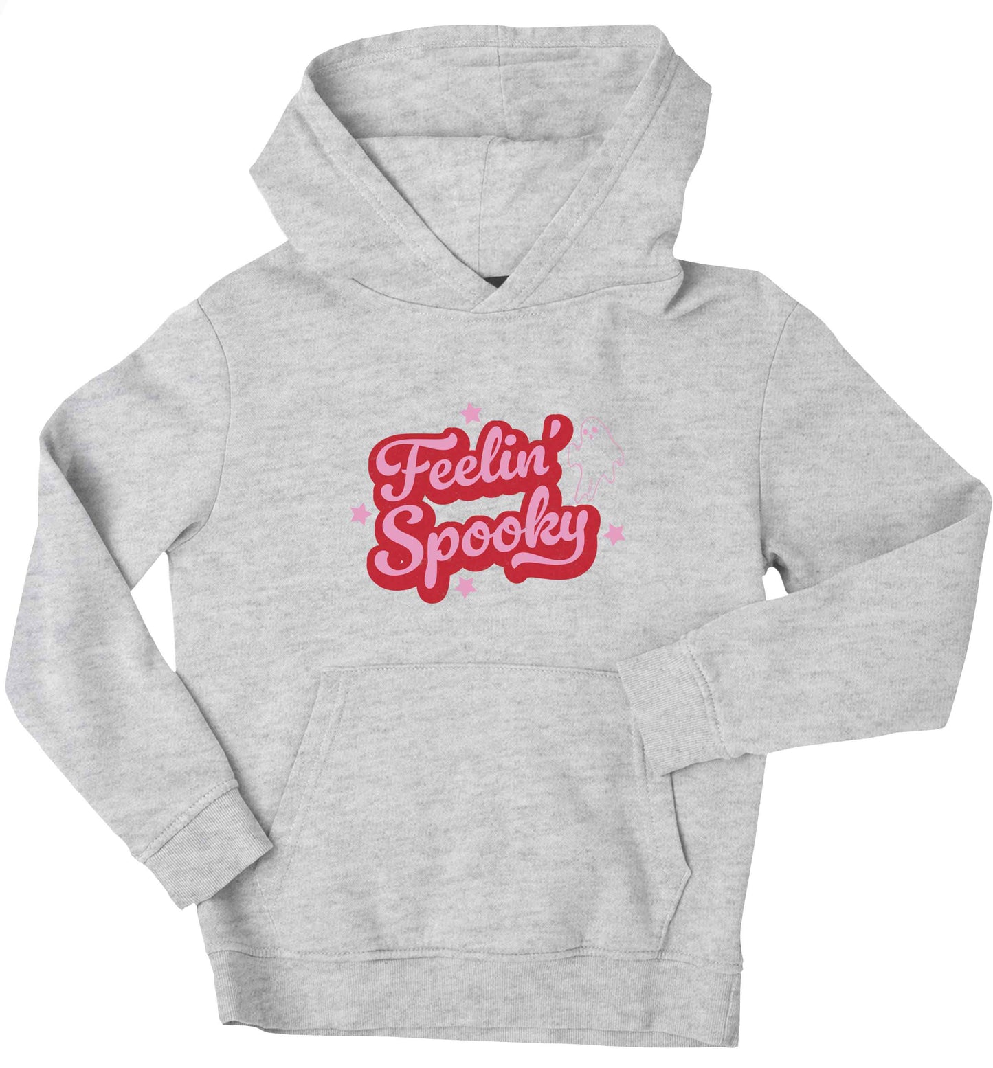 Feelin' Spooky Kit children's grey hoodie 12-13 Years