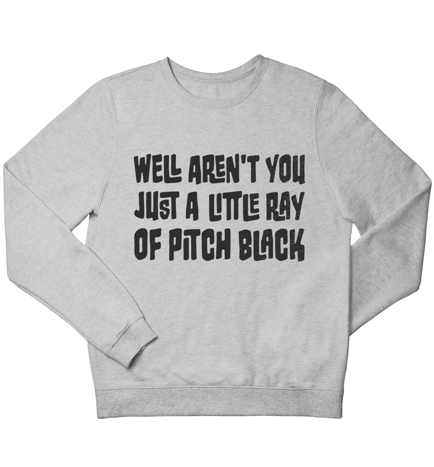 Well aren't you just a little ray of pitch black Kit children's grey sweater 12-13 Years
