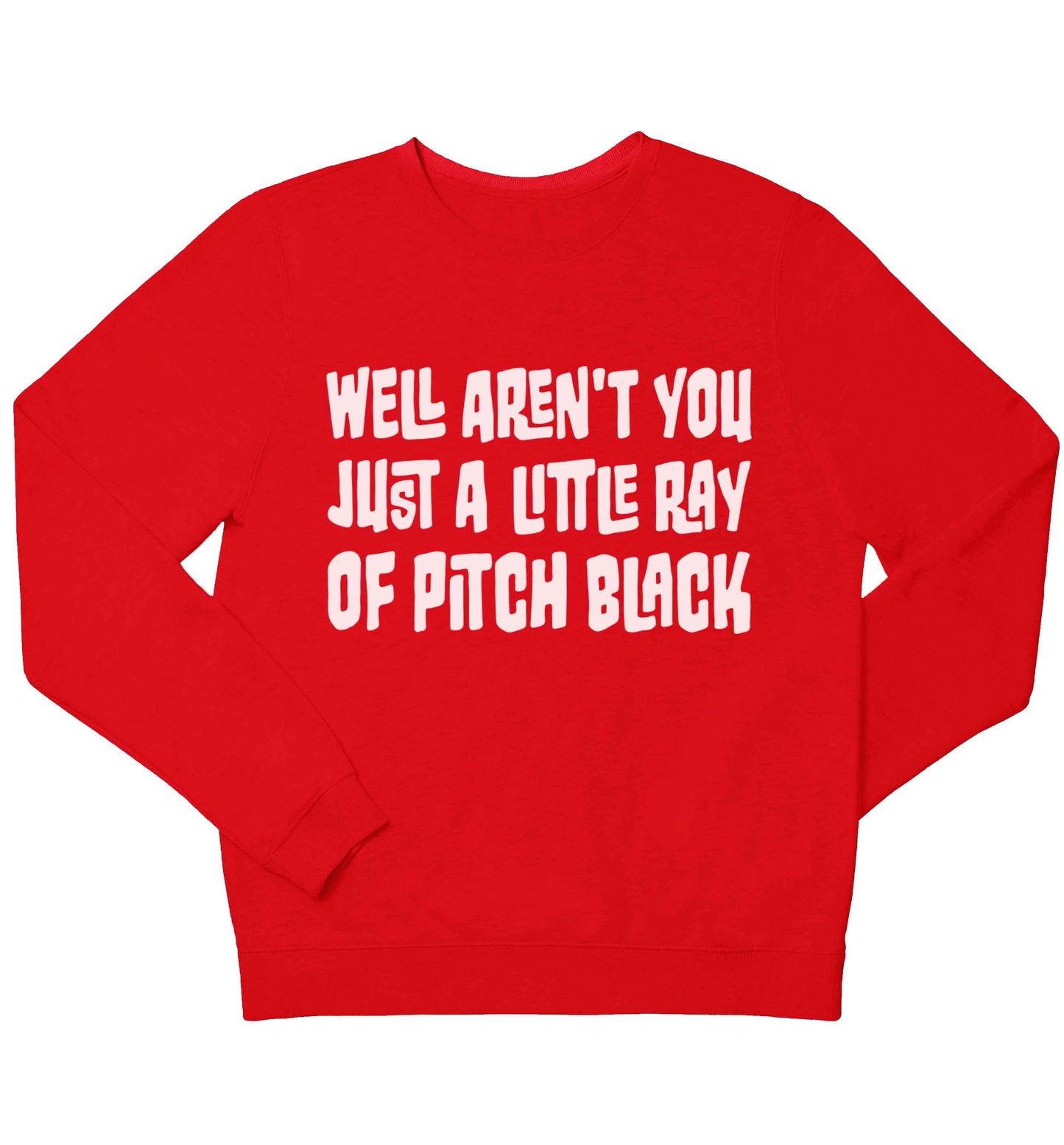 Well aren't you just a little ray of pitch black Kit children's grey sweater 12-13 Years