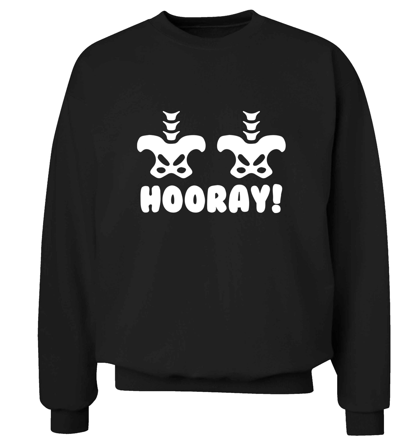 Hip Hip Hooray! adult's unisex black sweater 2XL