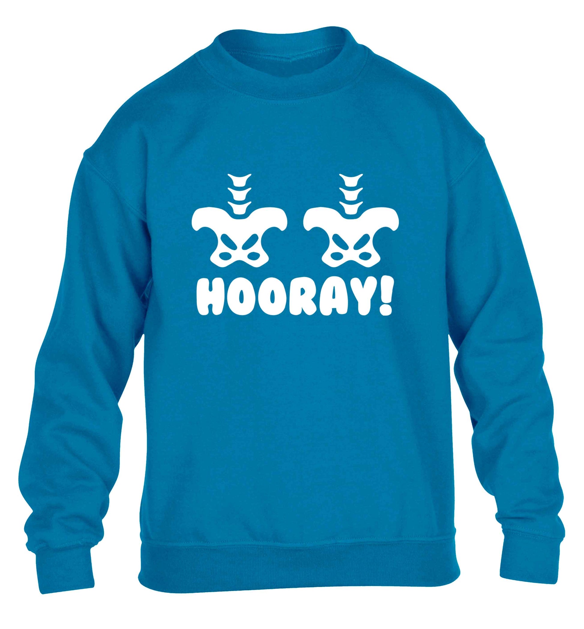 Hip Hip Hooray! children's blue sweater 12-13 Years