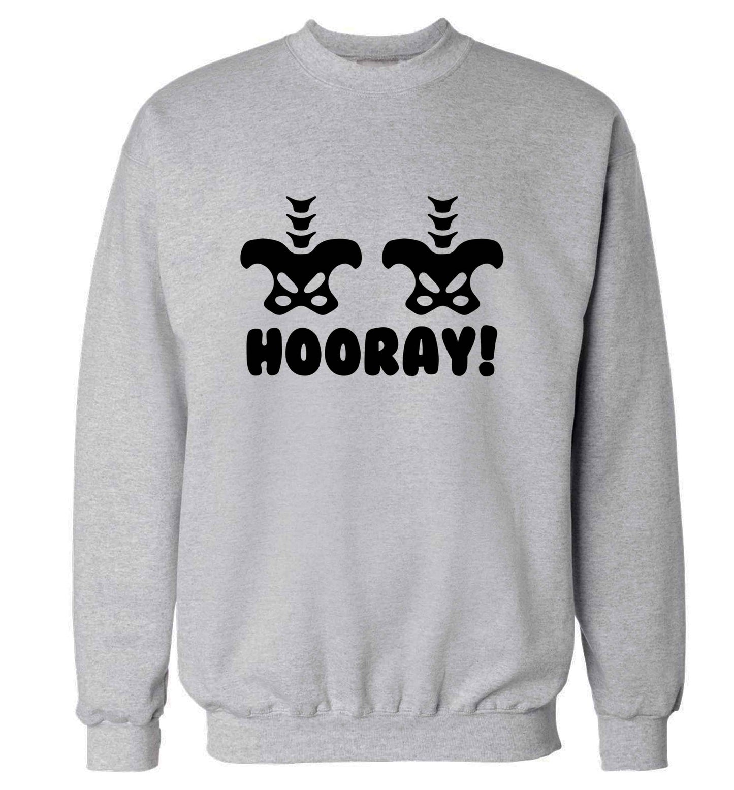 Hip Hip Hooray! adult's unisex grey sweater 2XL
