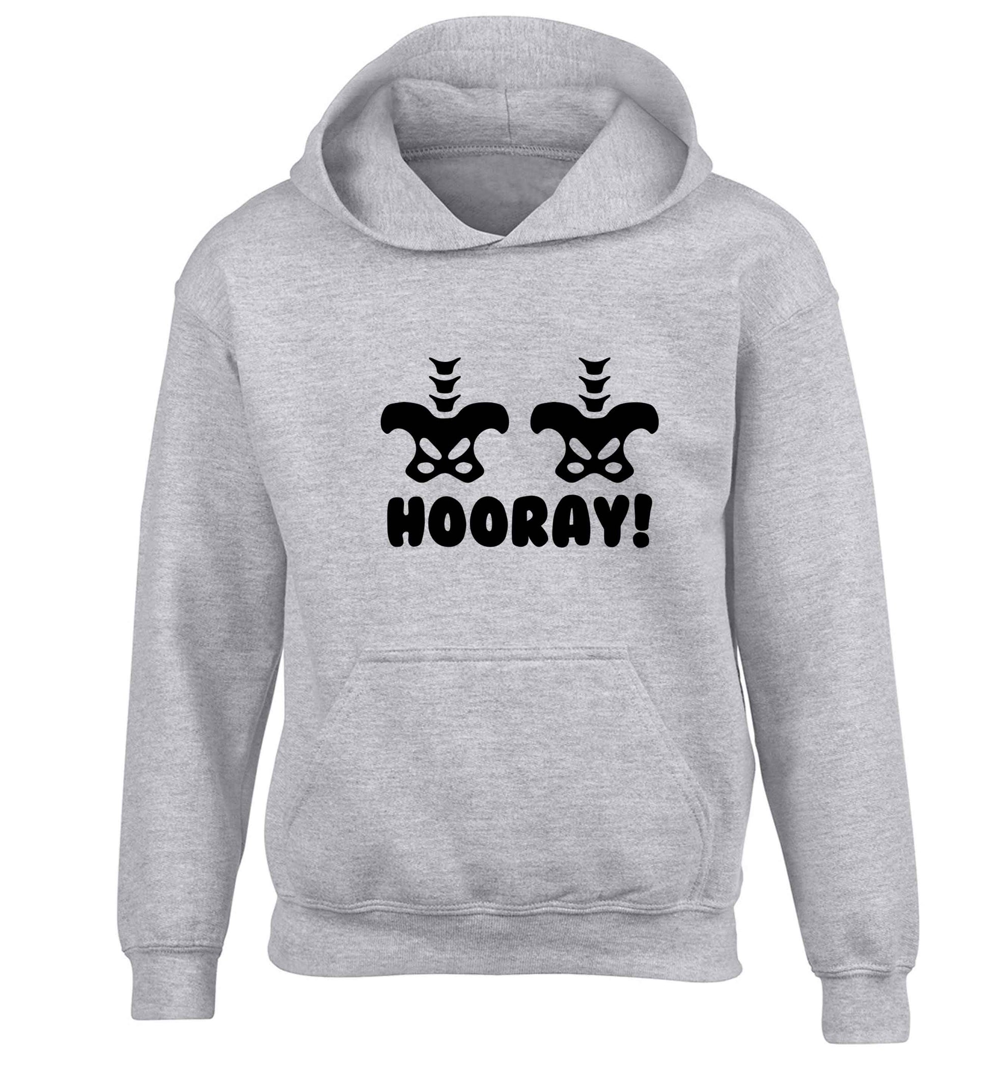 Hip Hip Hooray! children's grey hoodie 12-13 Years