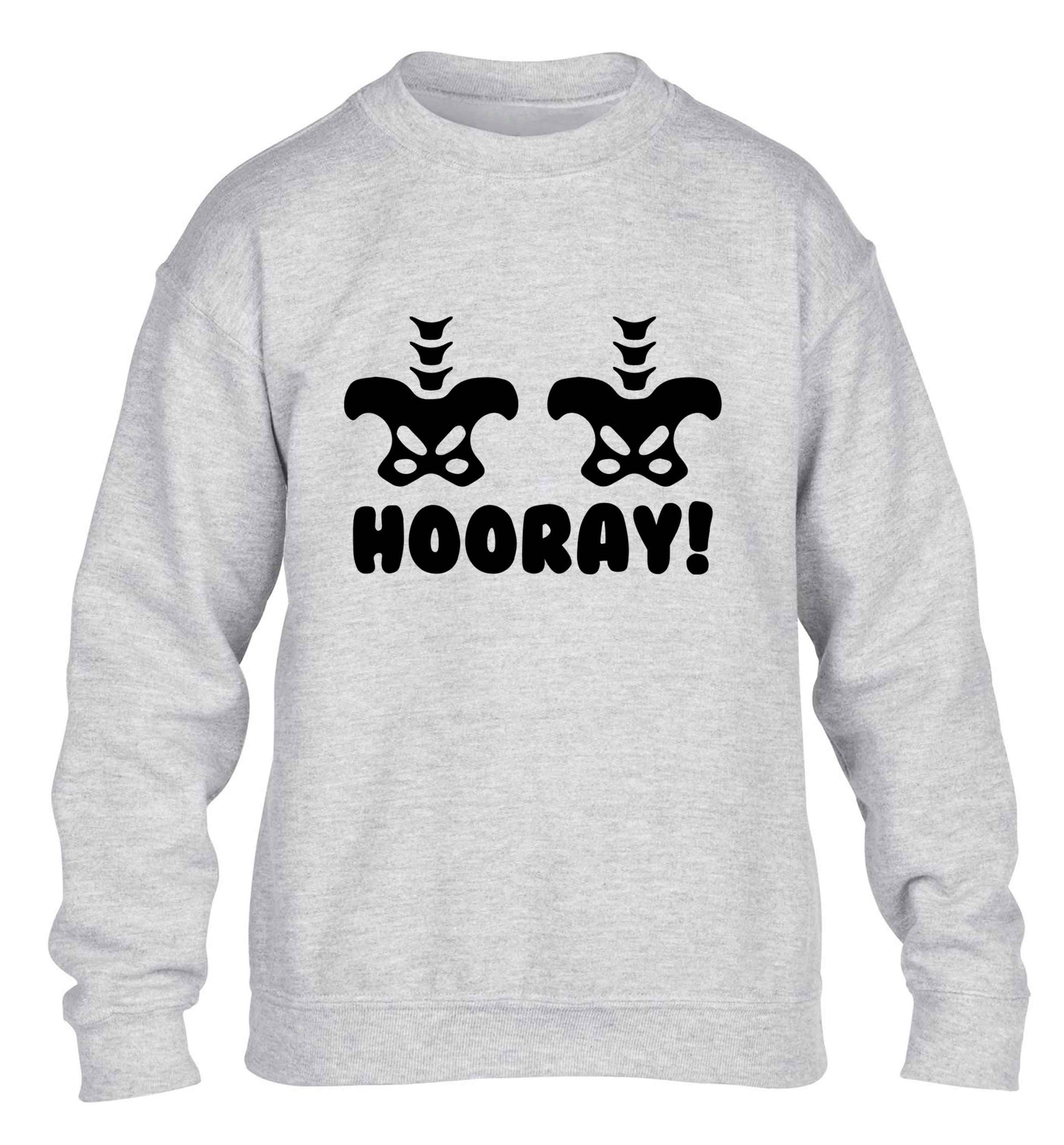 Hip Hip Hooray! children's grey sweater 12-13 Years
