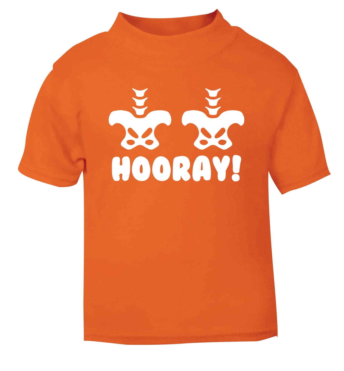 Hip Hip Hooray! orange baby toddler Tshirt 2 Years