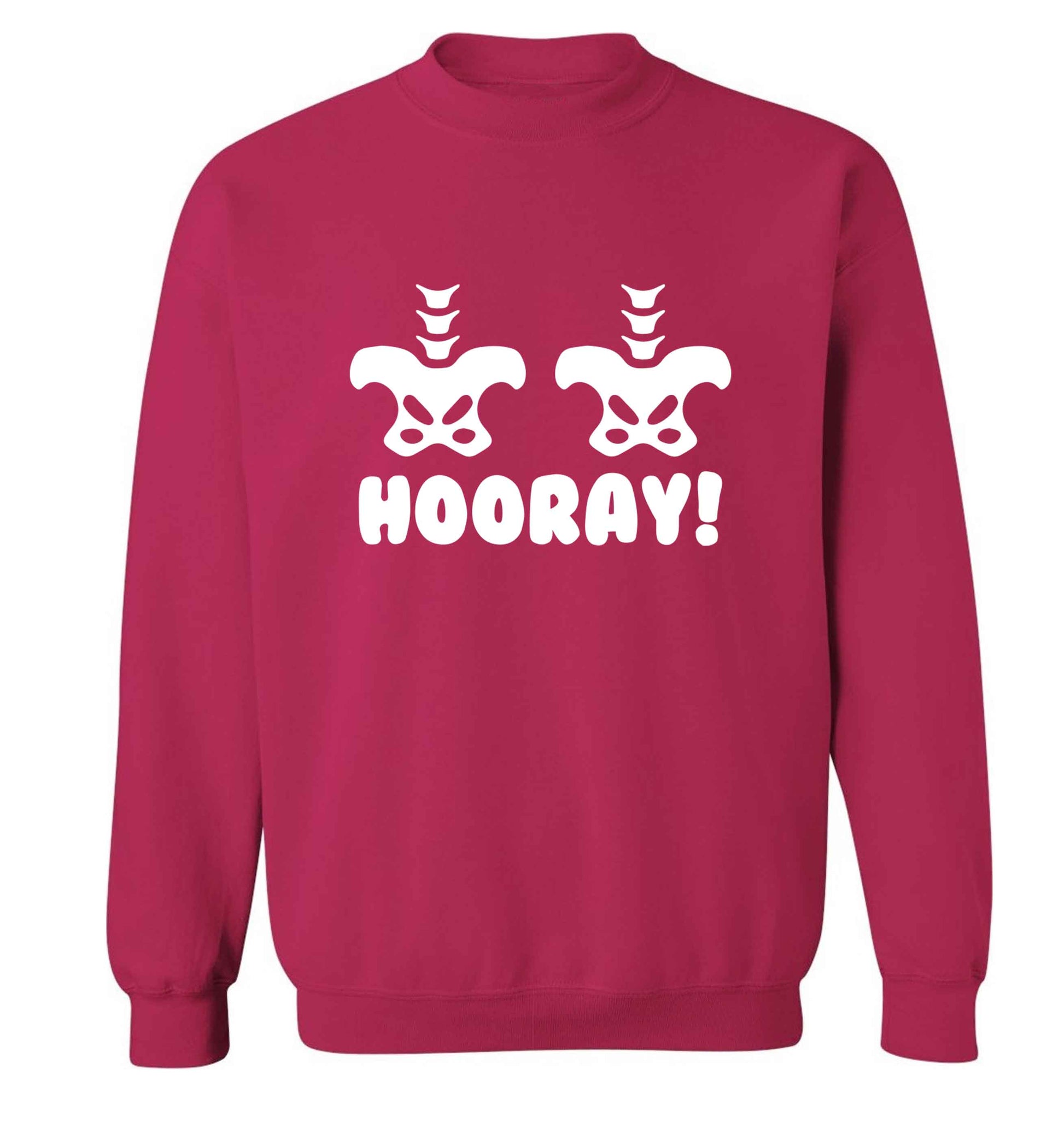Hip Hip Hooray! adult's unisex pink sweater 2XL
