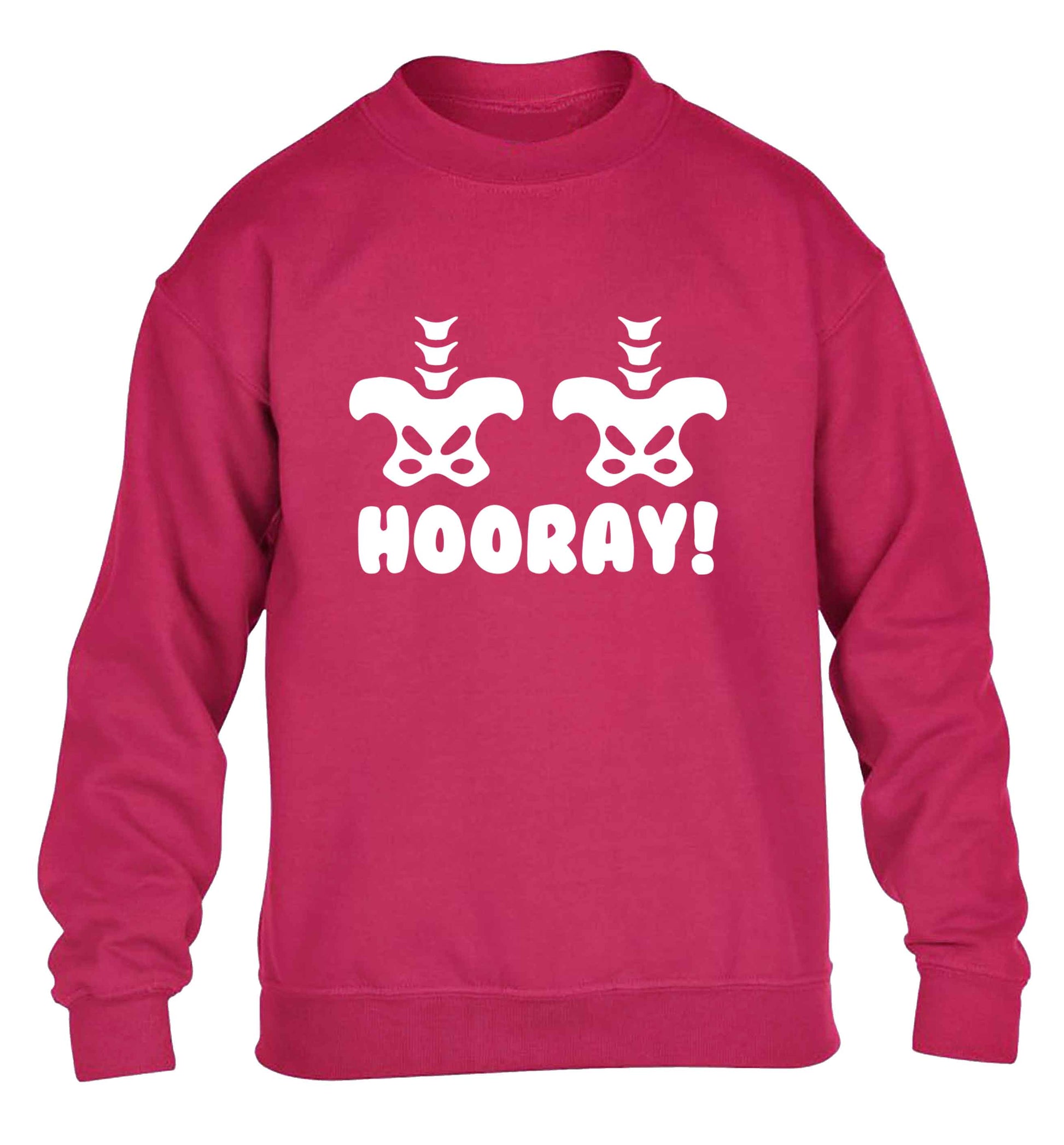 Hip Hip Hooray! children's pink sweater 12-13 Years