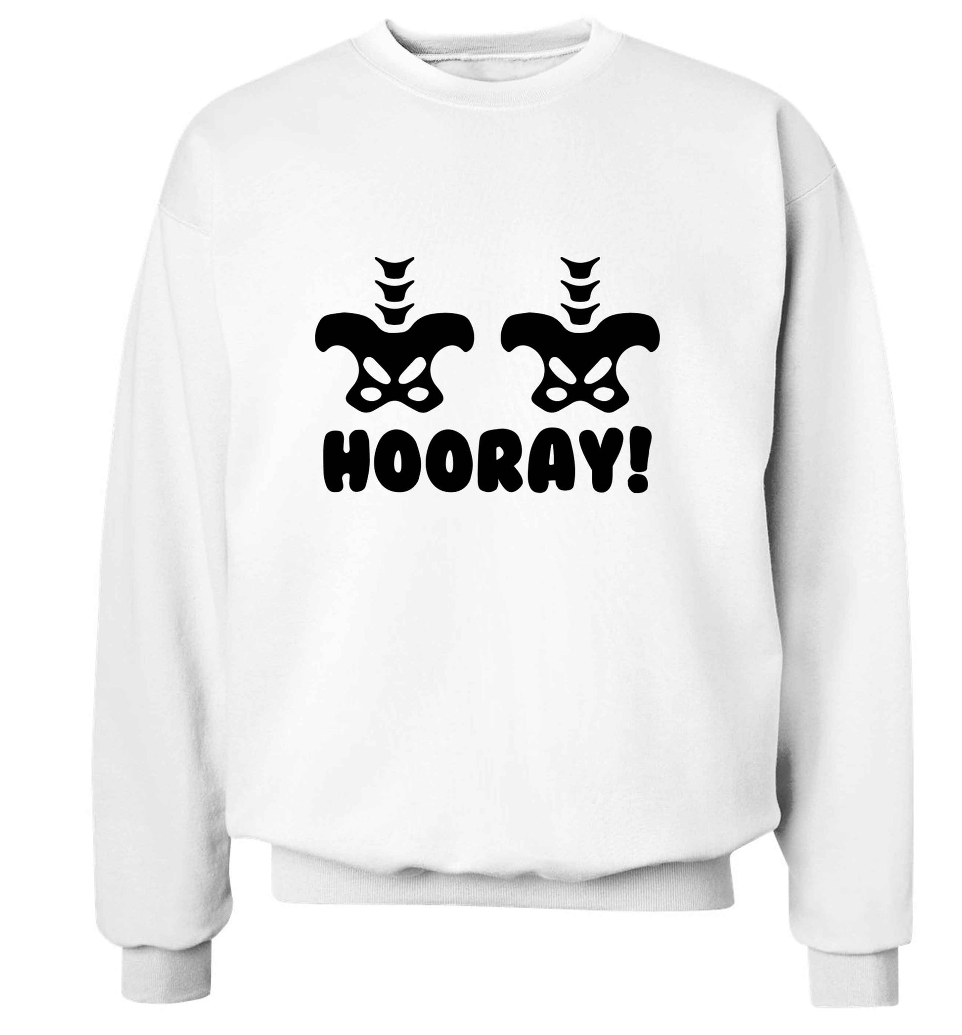 Hip Hip Hooray! adult's unisex white sweater 2XL
