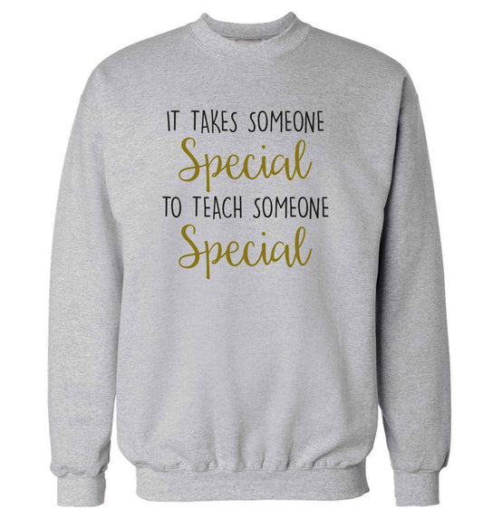 It takes someone special to teach someone special adult's unisex grey sweater 2XL