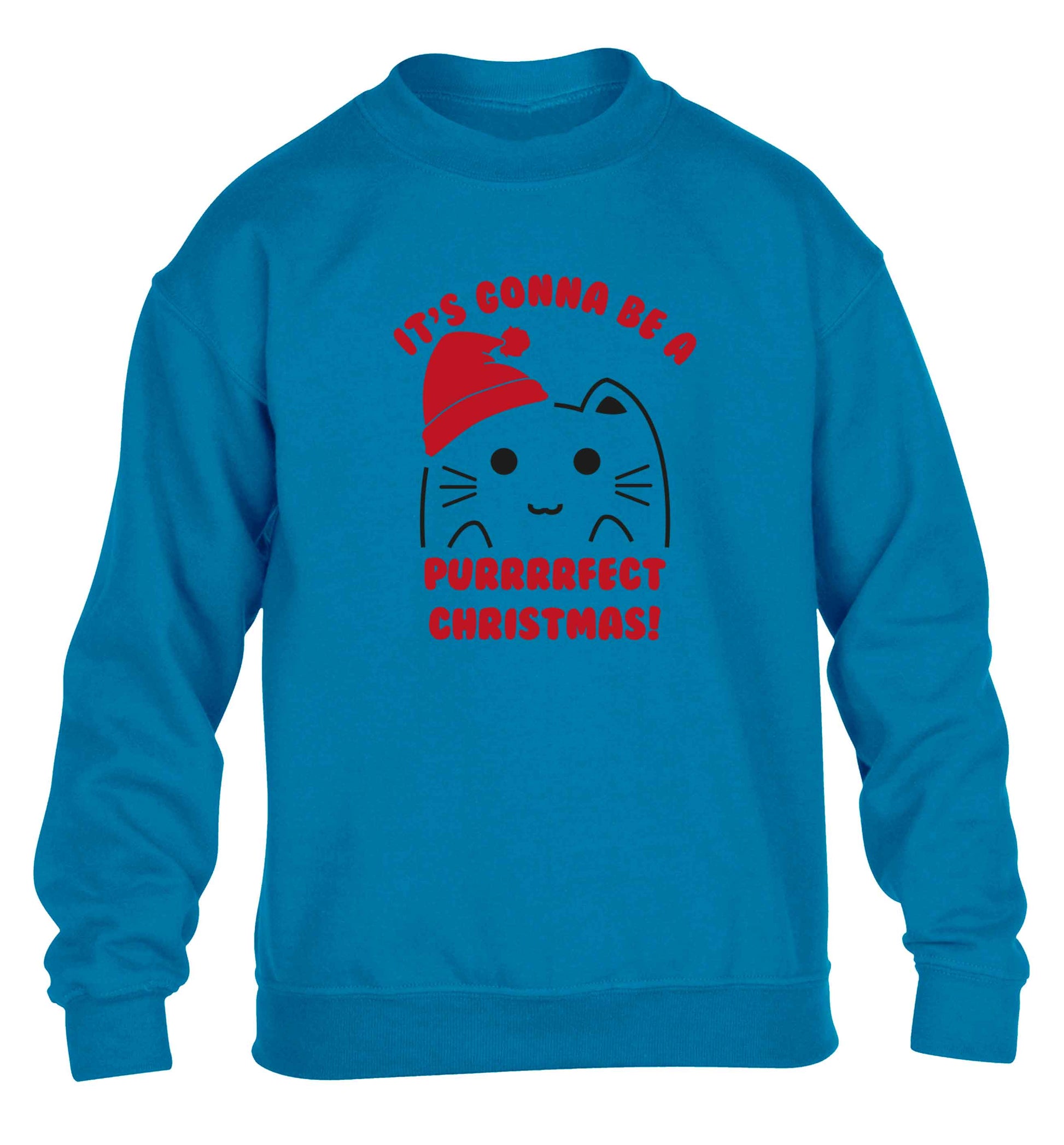 It's going to be a purrfect Christmas children's blue sweater 12-13 Years