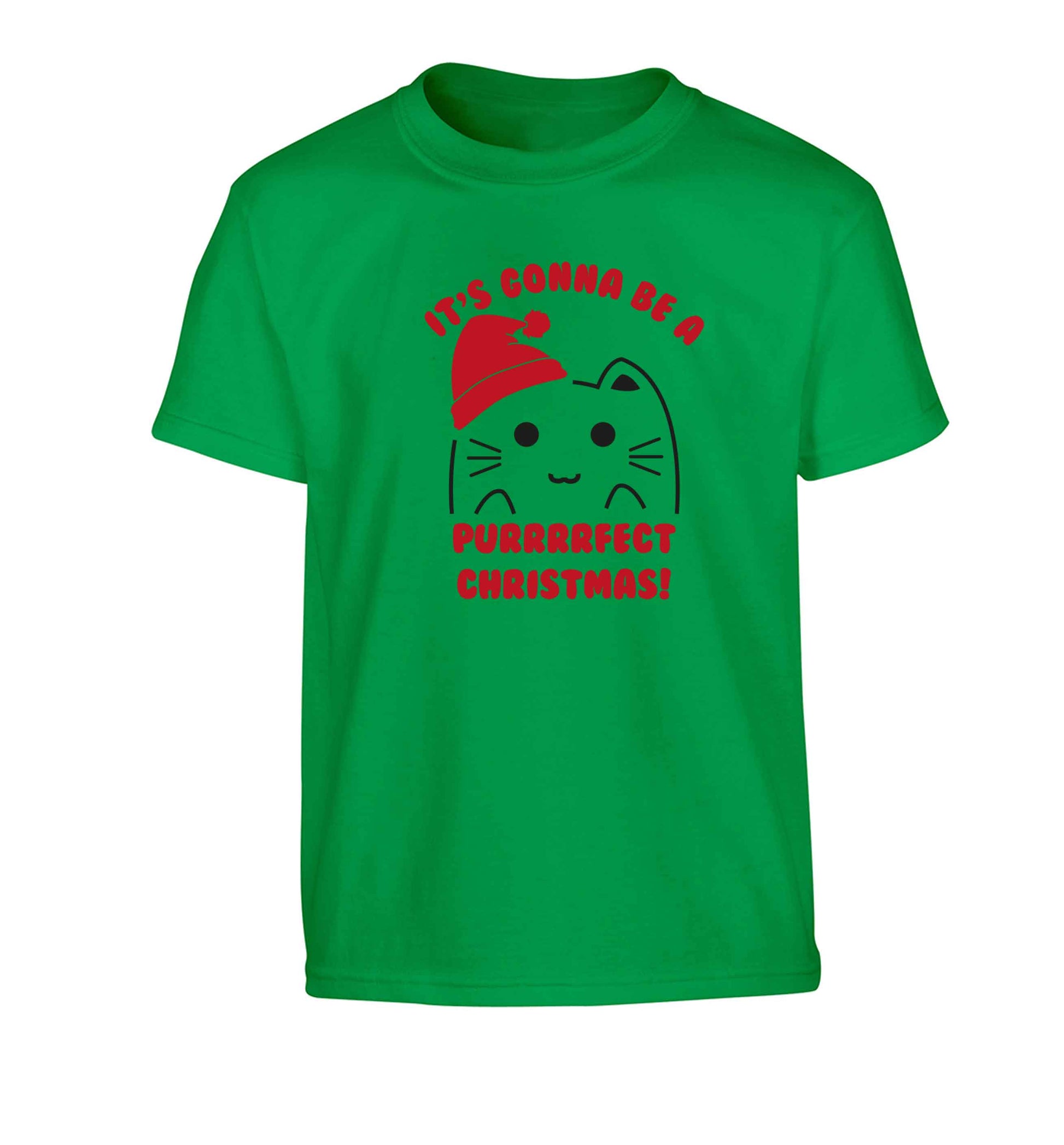 It's going to be a purrfect Christmas Children's green Tshirt 12-13 Years