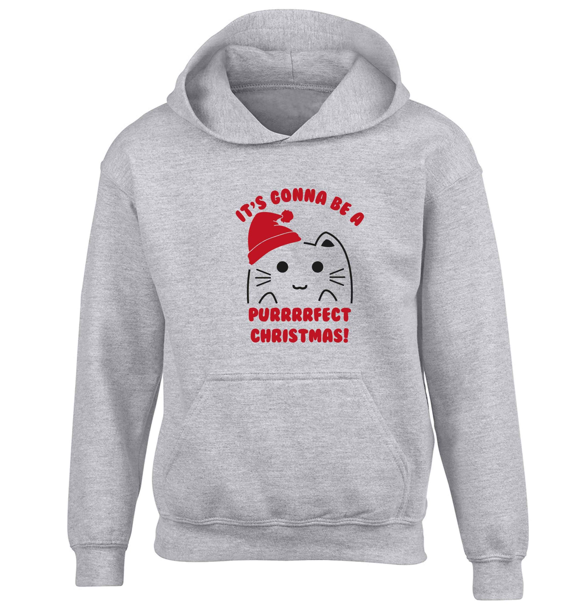 It's going to be a purrfect Christmas children's grey hoodie 12-13 Years
