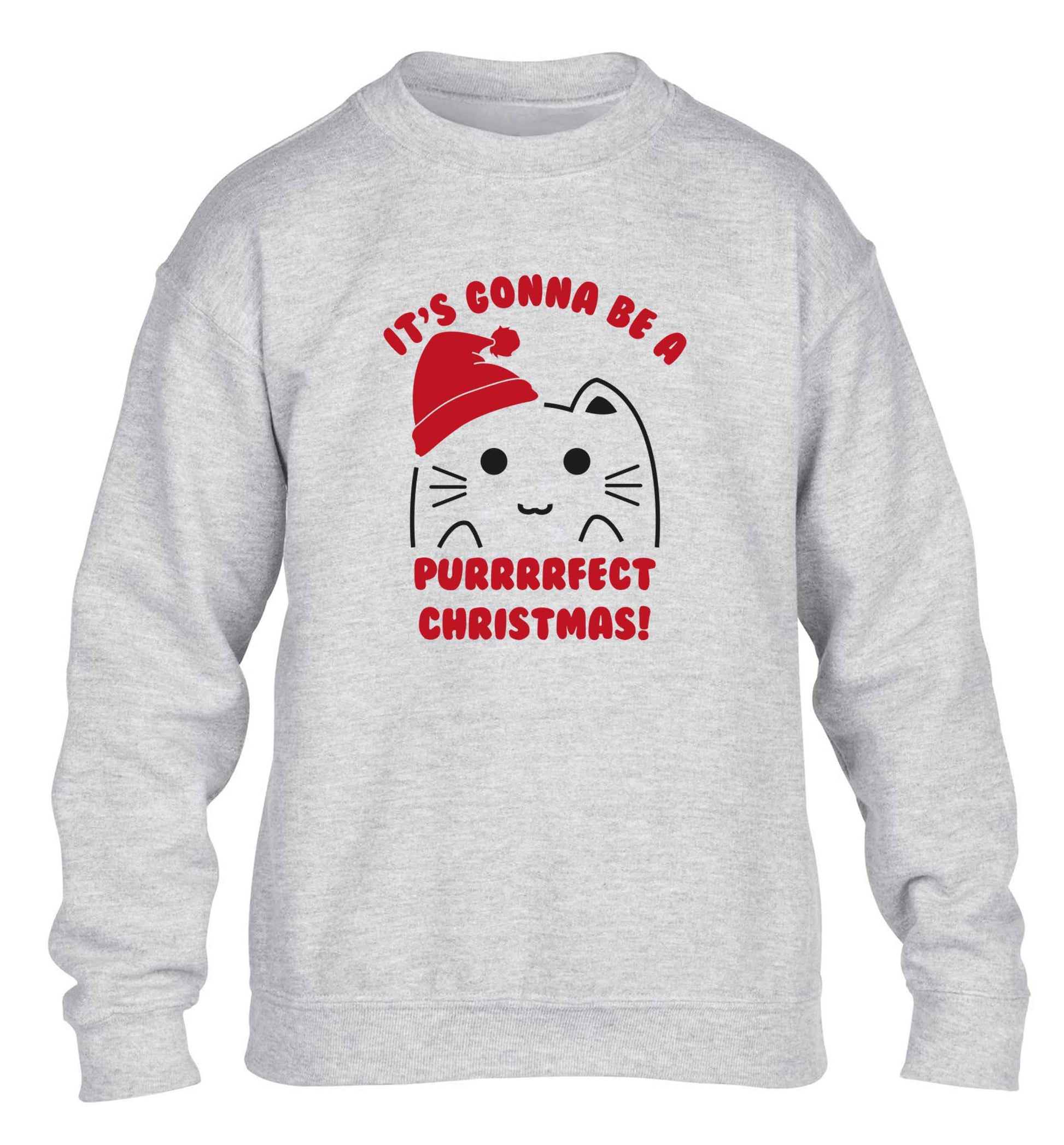 It's going to be a purrfect Christmas children's grey sweater 12-13 Years
