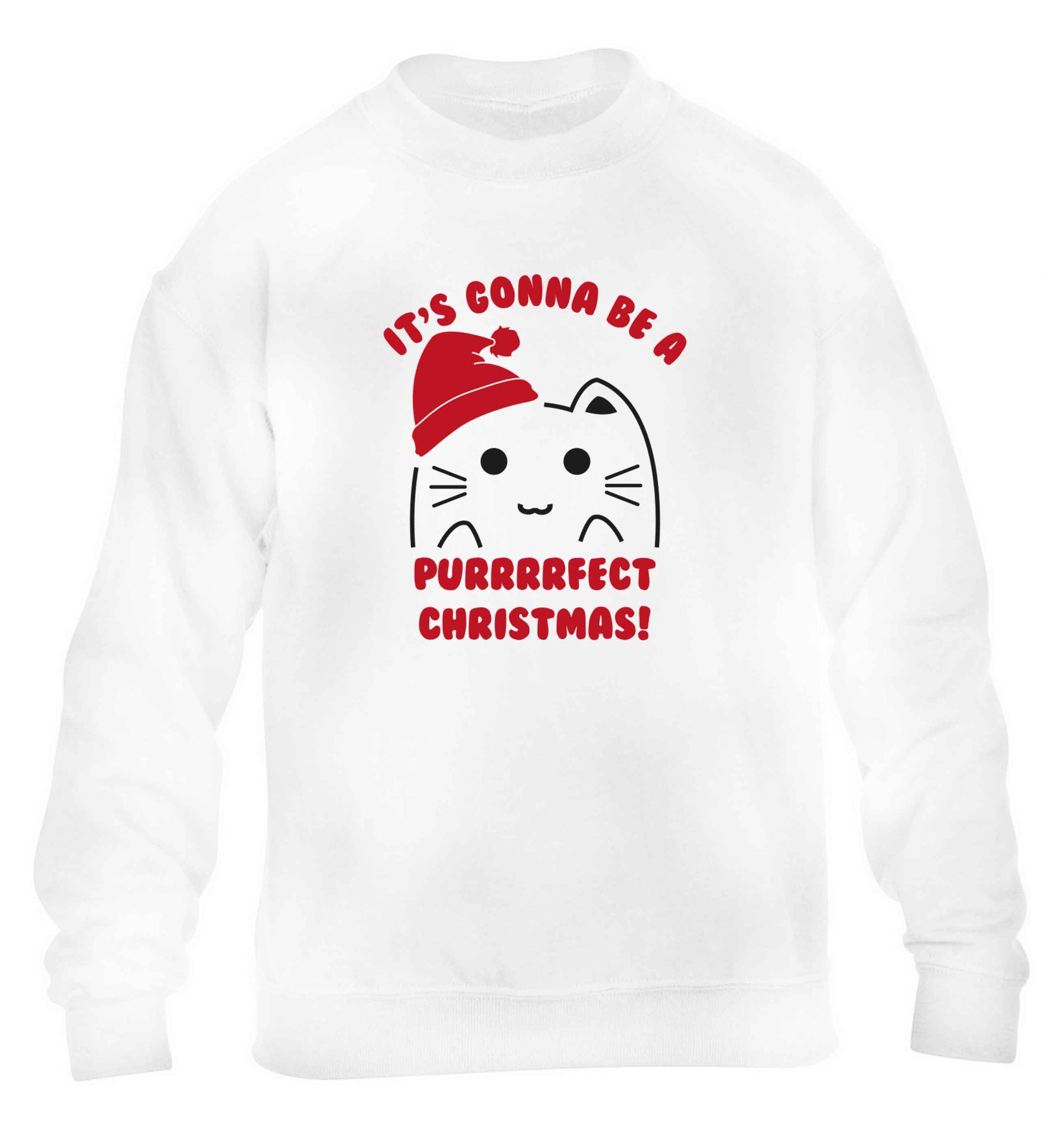 It's going to be a purrfect Christmas children's white sweater 12-13 Years